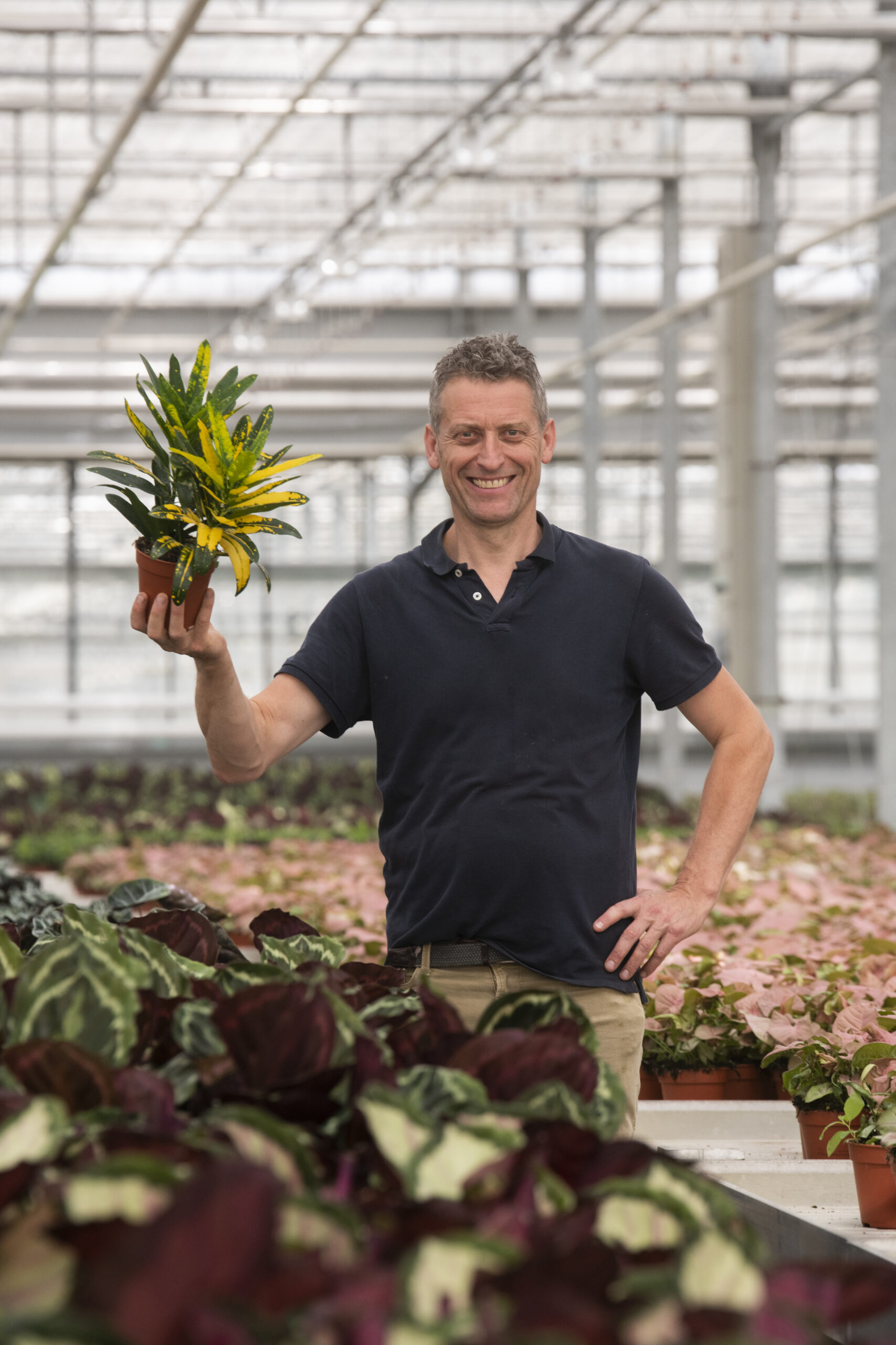 Kweker van Horizon aan het werk tussen de planten